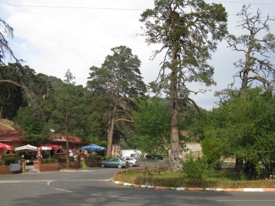 Gerede Esentepe Mesire Alanı