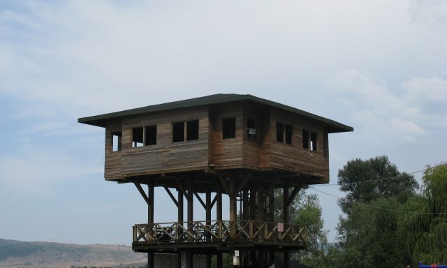 Yeniçağa Ornitoloji (Kuş Gözetleme) alanı